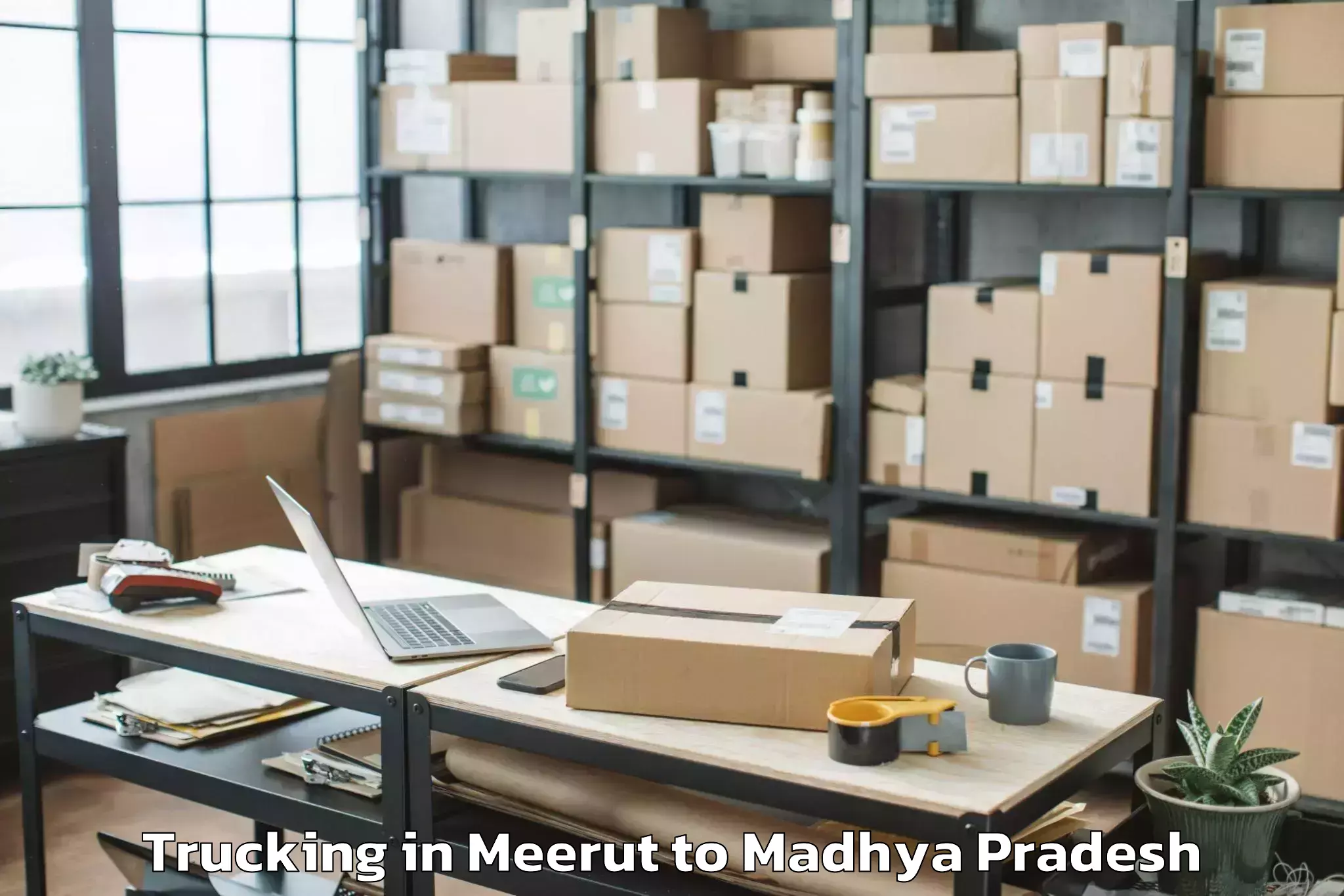 Leading Meerut to Khargapur Trucking Provider